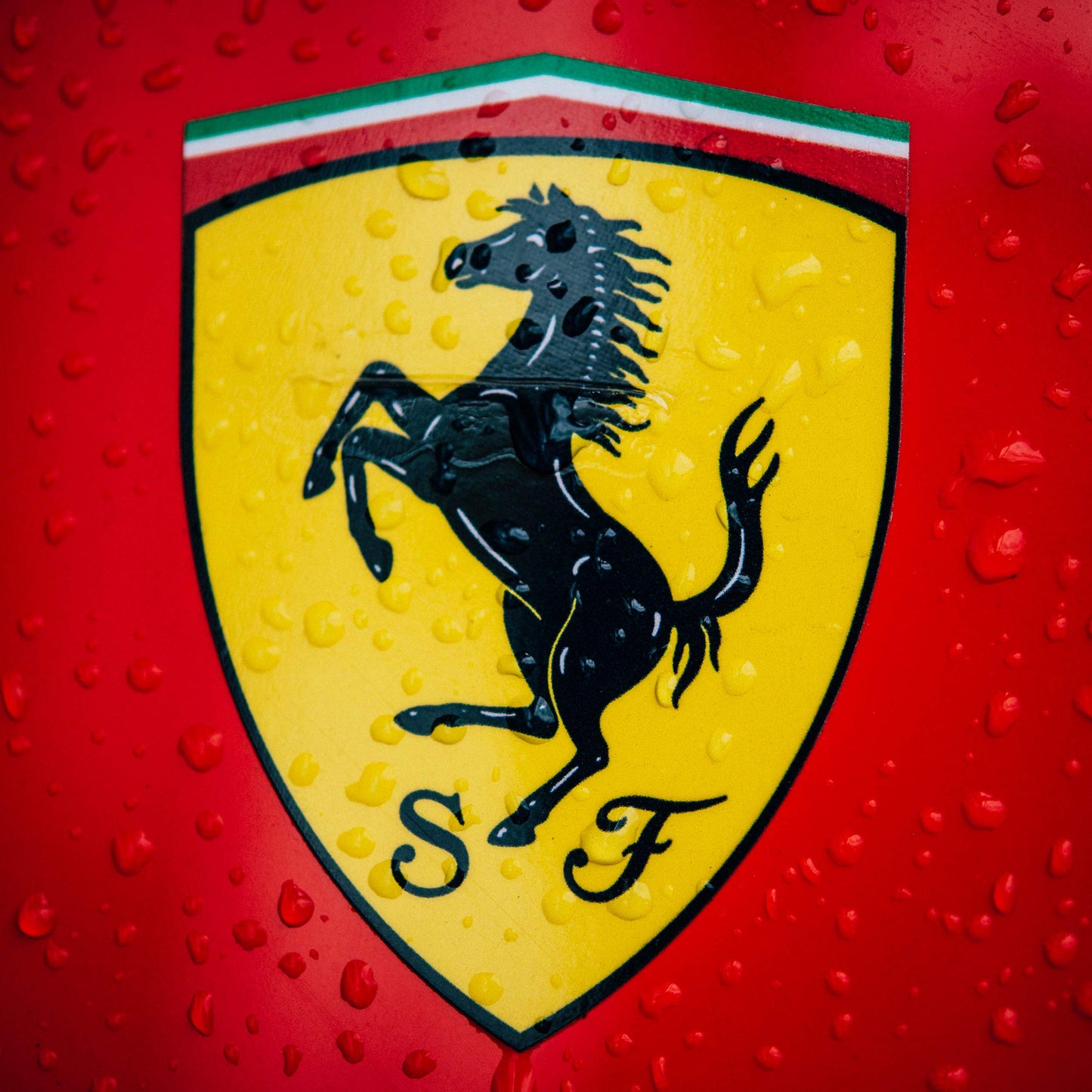 Cross Townsend Collection for Scuderia Ferrari