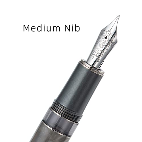 Metal Resin Piston Fountain Pen