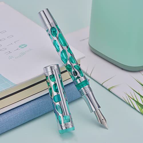 Matte Black Vacuum Filling Fountain Pen Set: Fine Nib, Transparent Acrylic Design