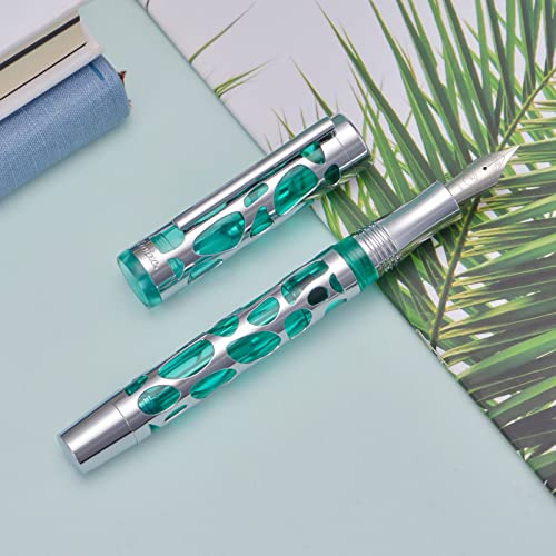 Matte Black Vacuum Filling Fountain Pen Set: Fine Nib, Transparent Acrylic Design