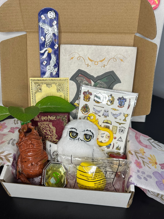 Harry Potter Mystery Box, Including more than 20 Mystery items plush some cute random free gift