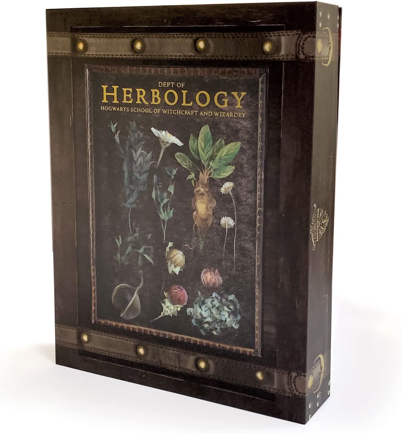 PrestigeQuill Harry Potter Herbology Stationery Set: Letter Box Edition