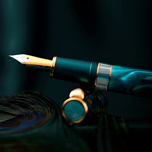 Metal Resin Piston Fountain Pen