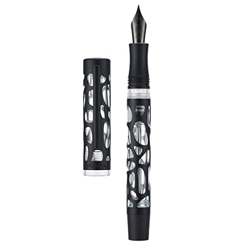 Matte Black Vacuum Filling Fountain Pen Set: Fine Nib, Transparent Acrylic Design